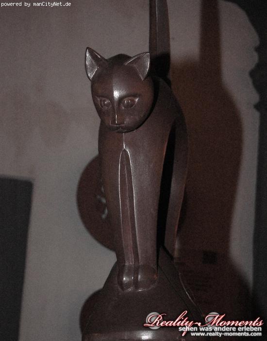 Bild bild_39